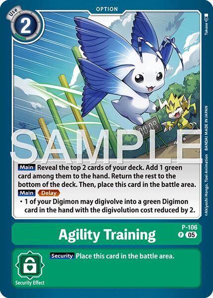 Agility Training (Reprint)