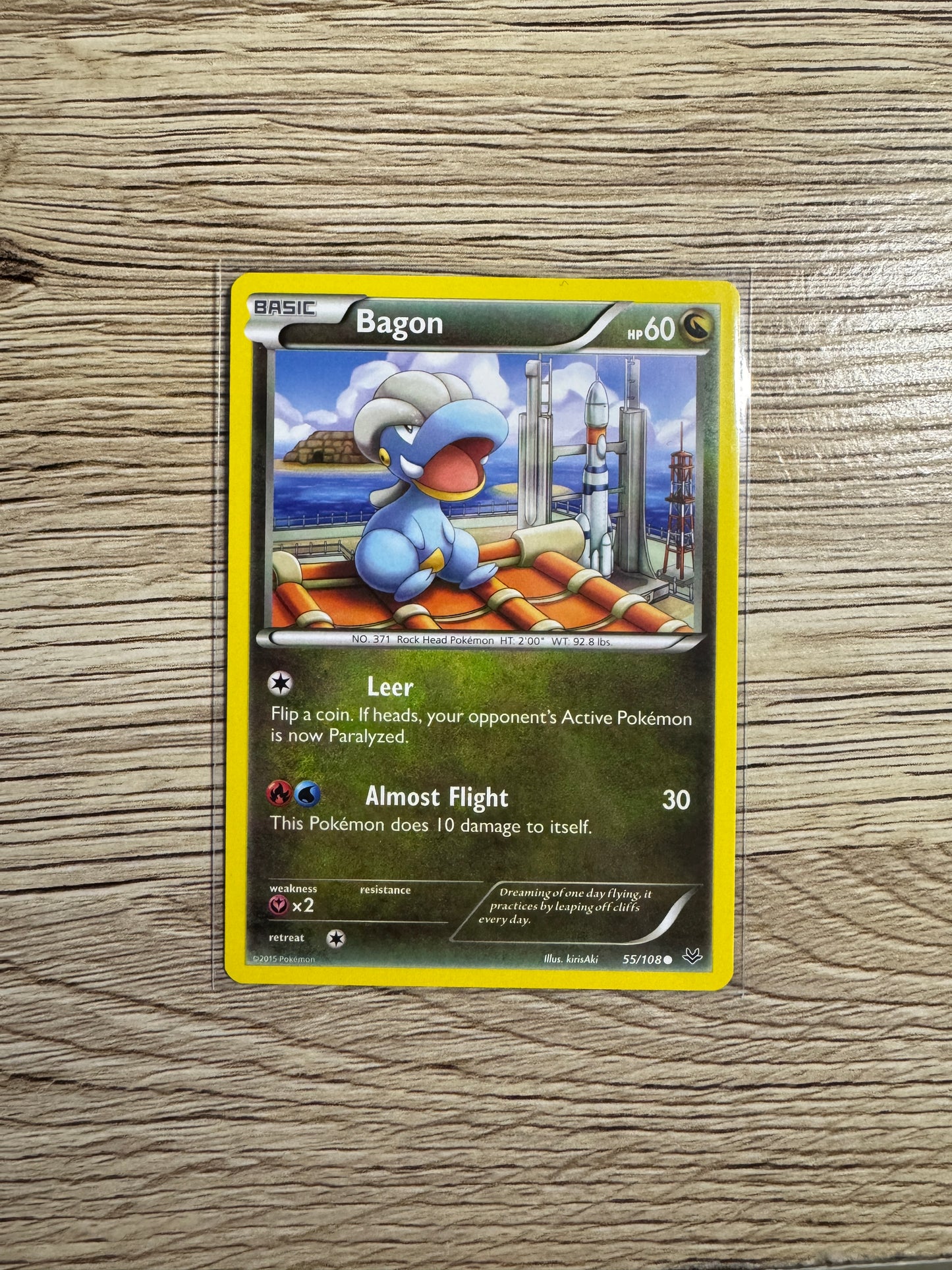 Bagon (55) Common XY - Roaring Skies 55/108 NM